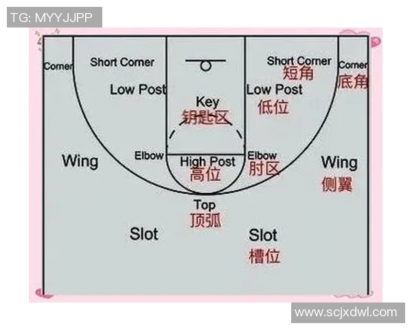 深入分析杭州篮球队独特防守策略与战术执行能力